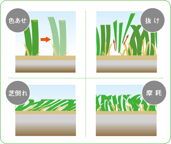 摩擦に強い人工芝イメージ