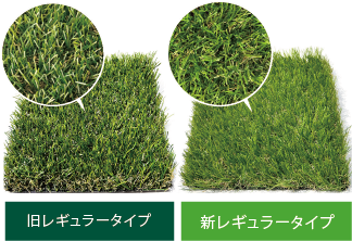 比較イメージ写真