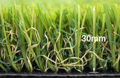 レギュラータイプ商品画像