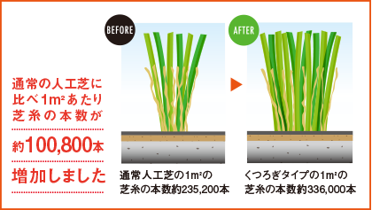 天然芝比較写真